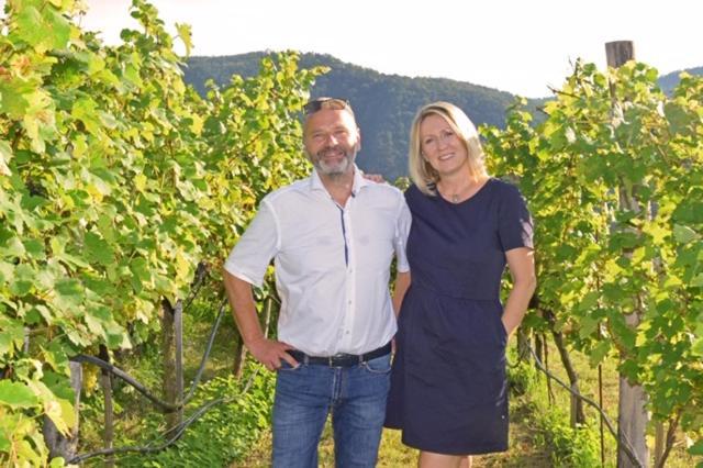 Weingut Baeuerl Apartment Duernstein Ngoại thất bức ảnh